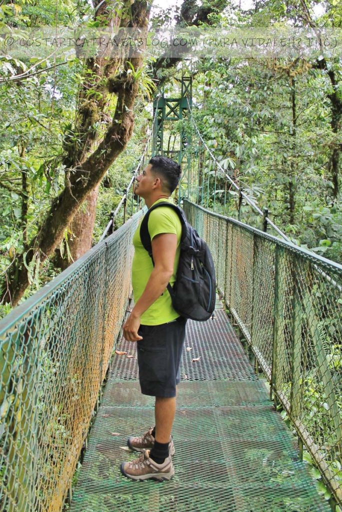 Ricky; treetop walkway hanging bridges at the Selvatura Park