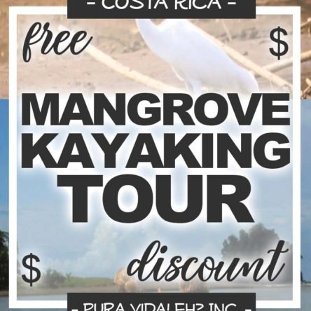 DISCOUNT: Mangrove Kayaking Tour – Adult (From Manuel Antonio / Operated by Amigos del Rio)