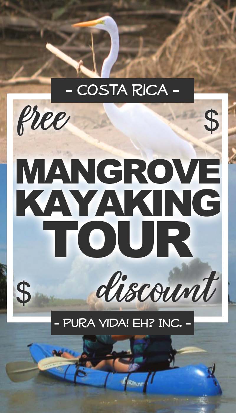 mangrove kayaking tour