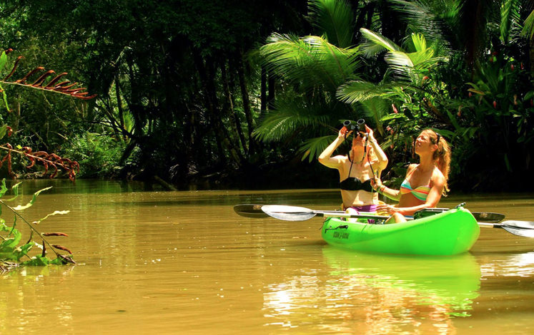 Discount: Kayaking Tour And Rainforest Hike (Puerto Viejo)