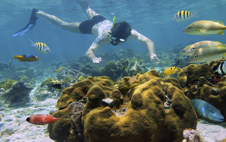 Discount: Snorkeling Tour and Rainforest Hike (Puerto Viejo)